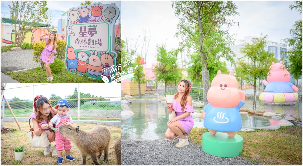 宜蘭景點【星夢森林劇場】宜蘭最美動物親子樂園,看小動物,玩水.搭小火車.拍貼一次滿足!