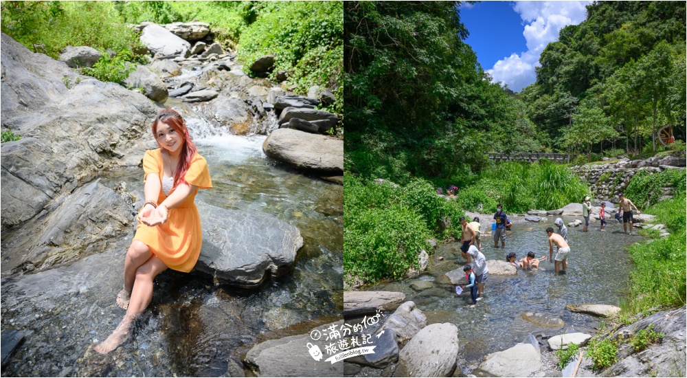 台東農場景點懶人包|精選15間台東農場牧場.森林公園~親子出遊必訪,探索生態親近小動物!