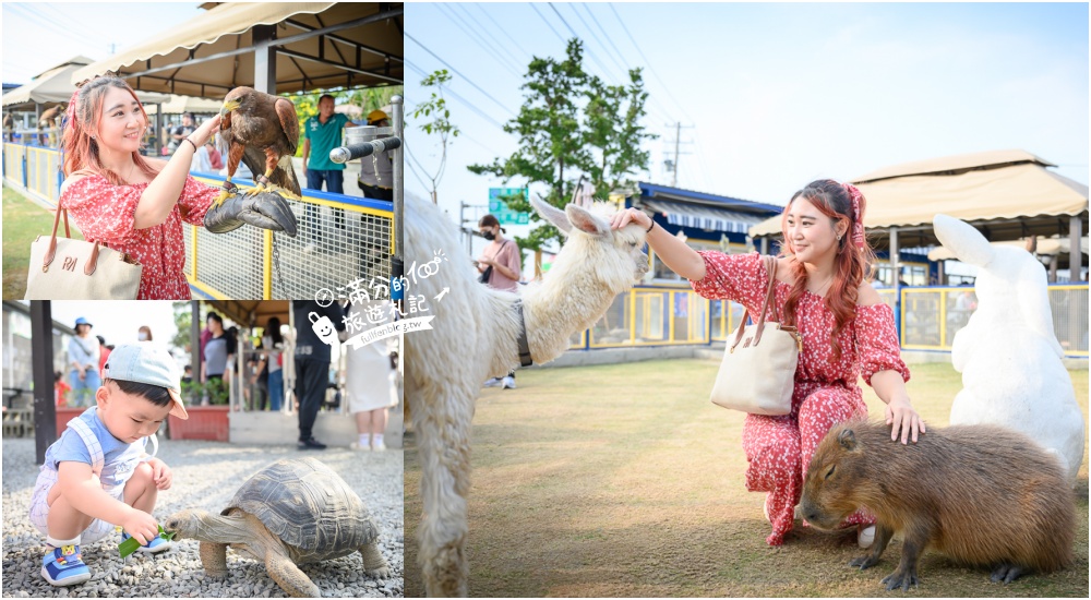 高雄【嘎逼&牛奶互動園區】北高雄最新可愛動物農場,水豚羊駝小鹿狐獴大集合!