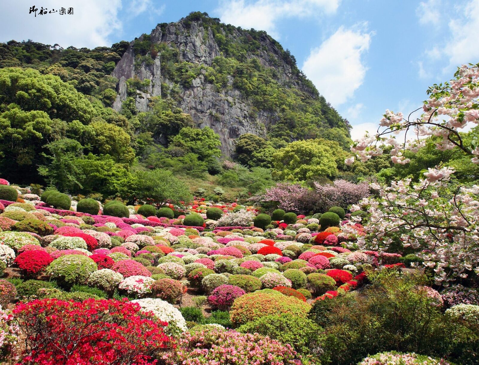 【2024御船山樂園】佐賀武雄賞櫻推薦.50萬平方公尺的繽紛花卉,江戶時代的夢幻花園!