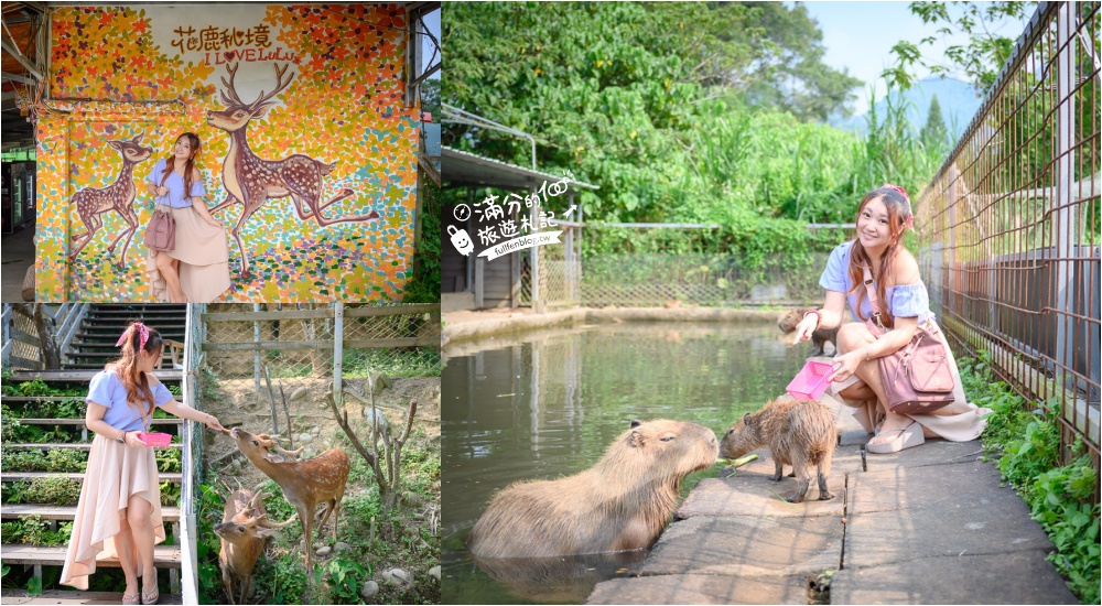 桃園【花鹿秘境李家摸蜆農場】大溪親子景點.餵水豚君梅花鹿.還能釣魚好玩耶! @滿分的旅遊札記