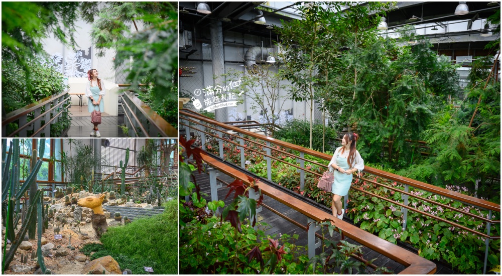 台北景點|臺北典藏植物園(免門票)城市裡的玻璃花坊,漫步熱帶雨林享受森林浴! @滿分的旅遊札記