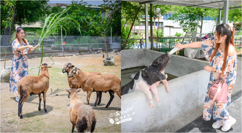 台中戶外景點推薦|超過25個台中森林郊外旅遊|綠林步道.特色公園.休閒農場.浪漫花園~大自然森呼吸!