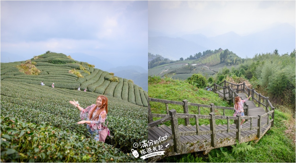 【嘉義阿里山景點】隙頂觀景臺.二延平步道(免門票)看茶田.望雲海,夢幻雲海步道~我在茶田山裡迷路! @滿分的旅遊札記