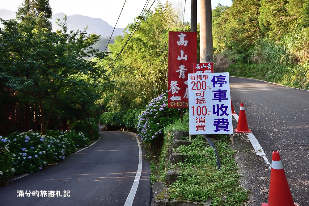 苗栗南庄景點》高山青養鱒鱘魚場繡球花開 季節限定迷人的繡球森林步道!