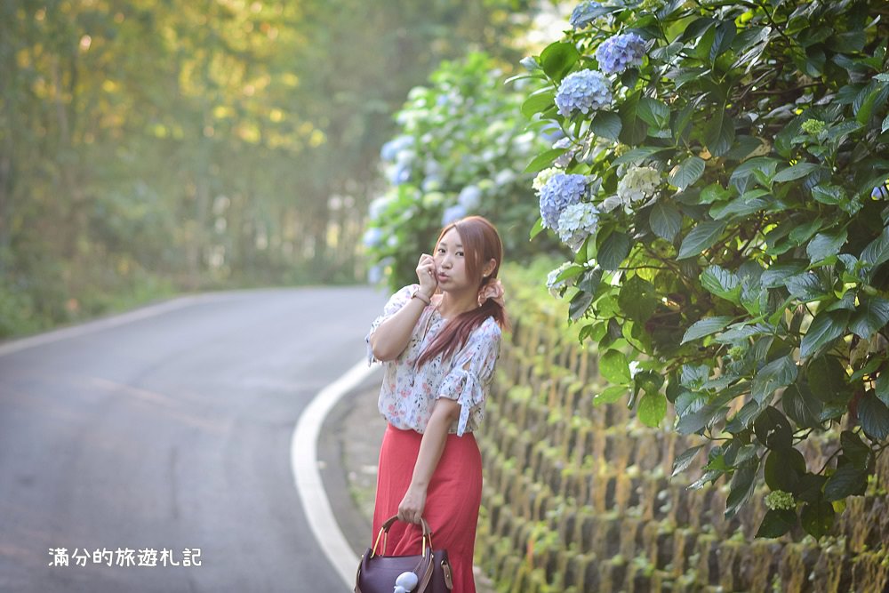 苗栗南庄景點》高山青養鱒鱘魚場繡球花開 季節限定迷人的繡球森林步道!