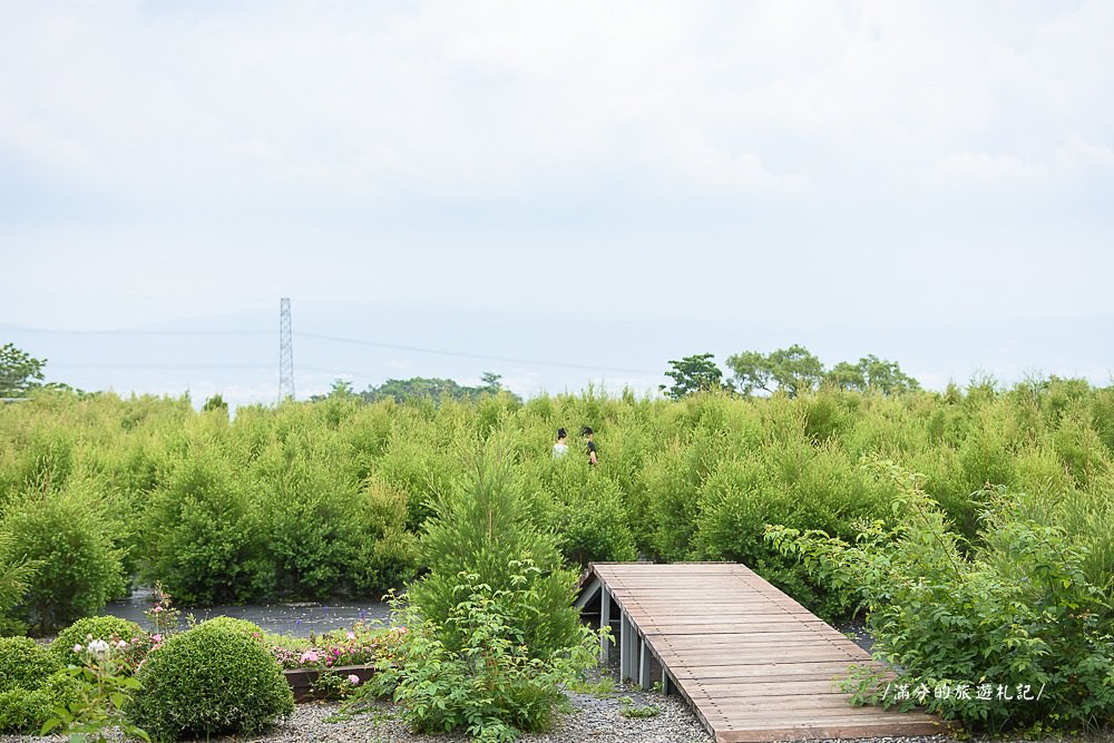 南投市景點》29號花園 南投139縣道景觀咖啡廳 離天空最近的茶樹林園