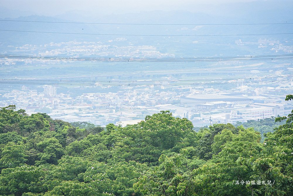 南投市景點》29號花園 南投139縣道景觀咖啡廳 離天空最近的茶樹林園