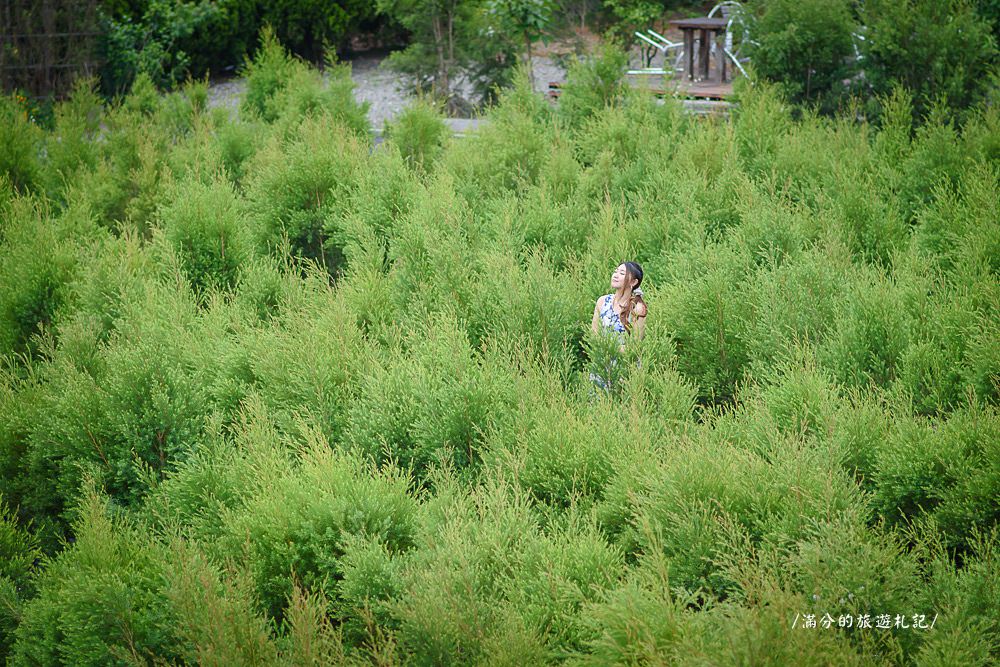 南投市景點》29號花園 南投139縣道景觀咖啡廳 離天空最近的茶樹林園