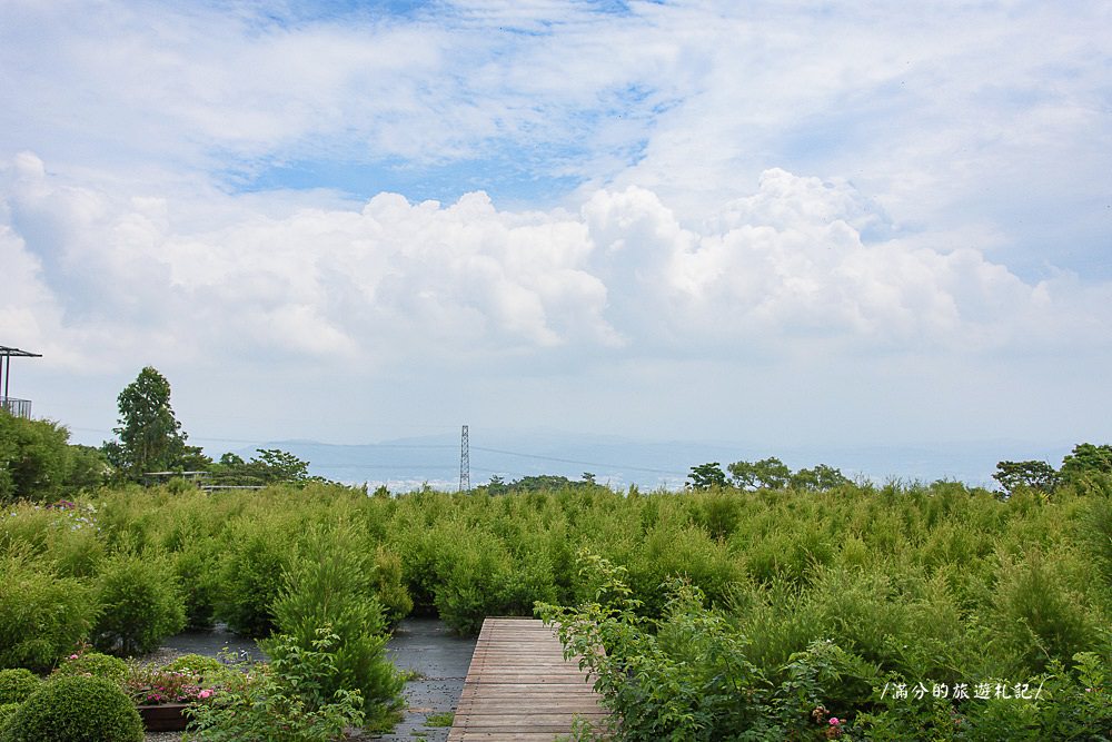 南投市景點》29號花園 南投139縣道景觀咖啡廳 離天空最近的茶樹林園