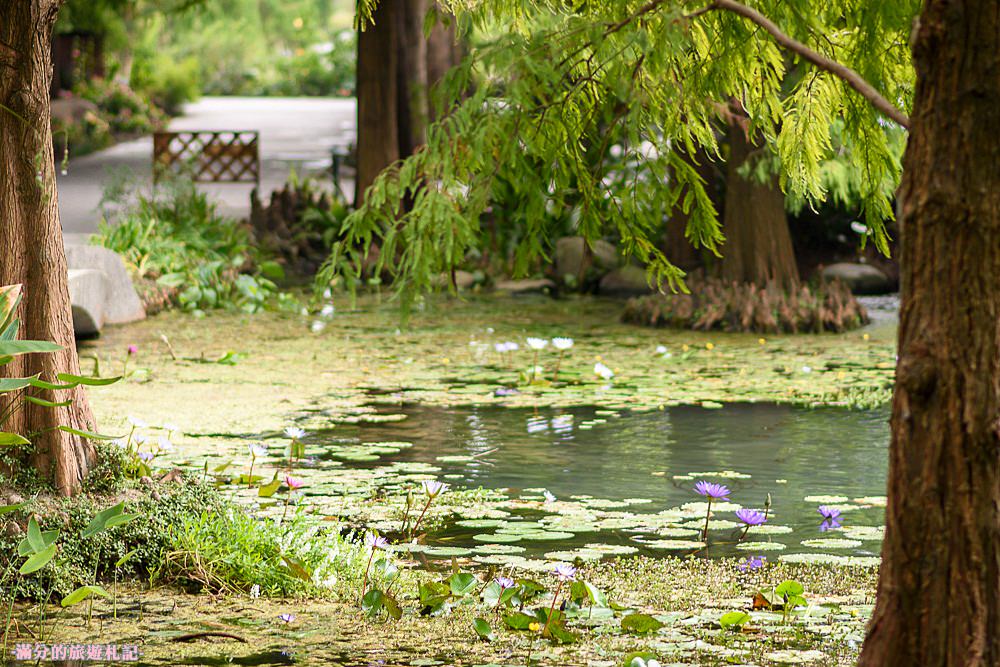 彰化田尾景點|菁芳園|落羽松祕境.浪漫的療癒花園.森林咖啡廳~約會賞松好去處!