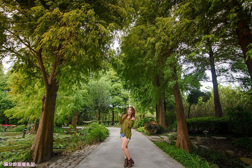 彰化田尾景點|菁芳園|落羽松祕境.浪漫的療癒花園.森林咖啡廳~約會賞松好去處!