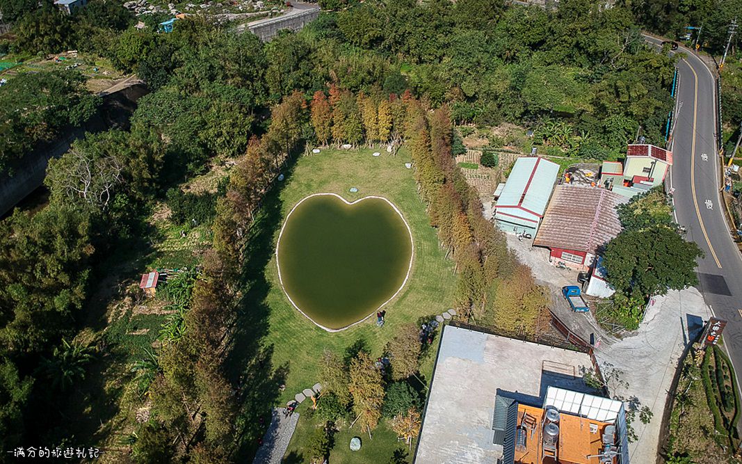 新竹【大樂之野景觀餐廳】關西落羽松景觀餐廳.吃熱炒看心型靜池好療癒!