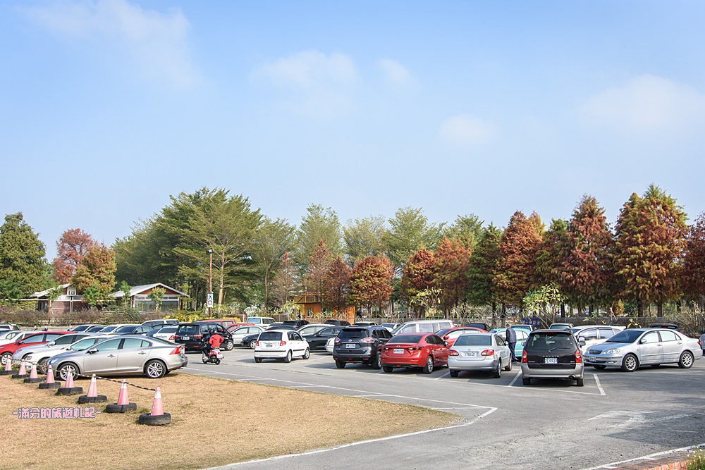 雲林斗六景點|九九莊園|LOVE草原.彩虹氣球.童話樹屋.小火車|情侶親子好去處~森林系婚紗基地!