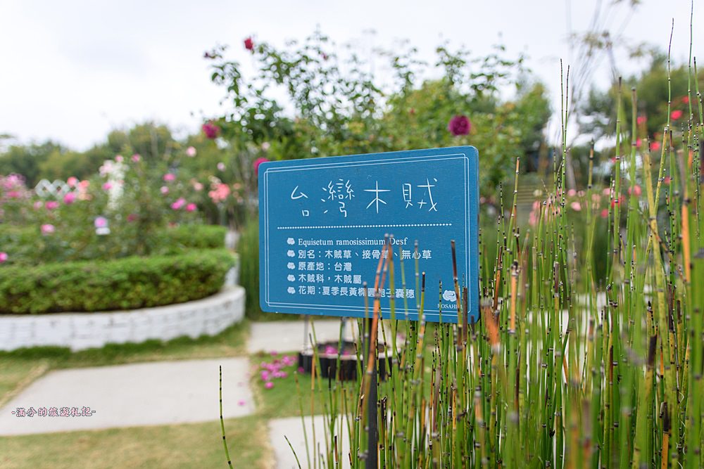 雲林古坑景點》蘿莎玫瑰莊園 免門票景點 南台灣最浪漫的雙心花園 情侶約會必訪