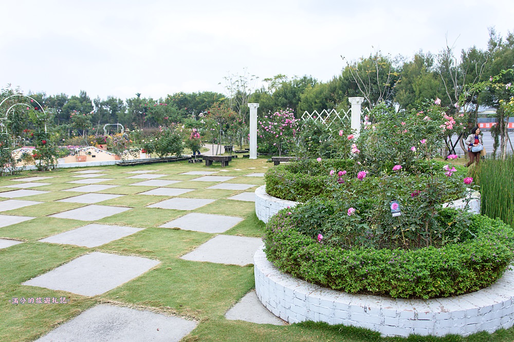 雲林古坑景點》蘿莎玫瑰莊園 免門票景點 南台灣最浪漫的雙心花園 情侶約會必訪