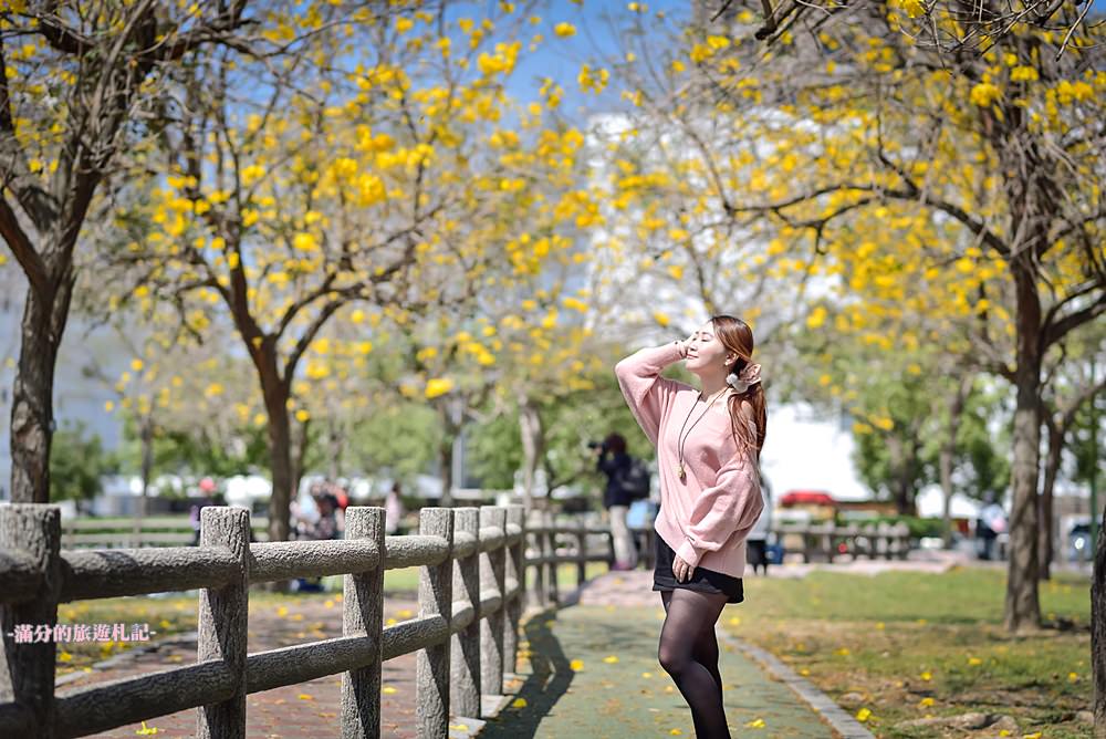 台中景點｜廍子公園黃花風鈴木|金黃大腳踏台中.季節限定花季~台中最美的黃金公園!