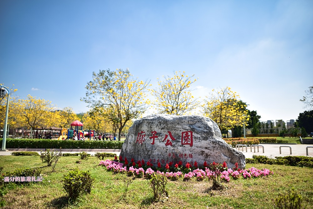 台中景點｜廍子公園黃花風鈴木|金黃大腳踏台中.季節限定花季~台中最美的黃金公園!