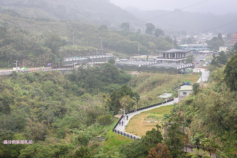 【2024梅山太平雲梯最新玩法】走吊橋.望茶田.逛老街.嘉義海拔最高最美天空步道, 帶你漫步在雲端!