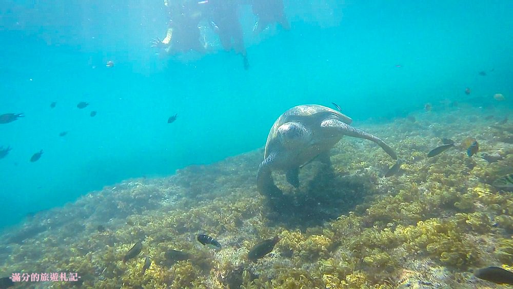 小琉球旅遊|10個小琉球好玩景點、IG打卡輕旅行，這次就去小琉球玩，二日遊也很讚！