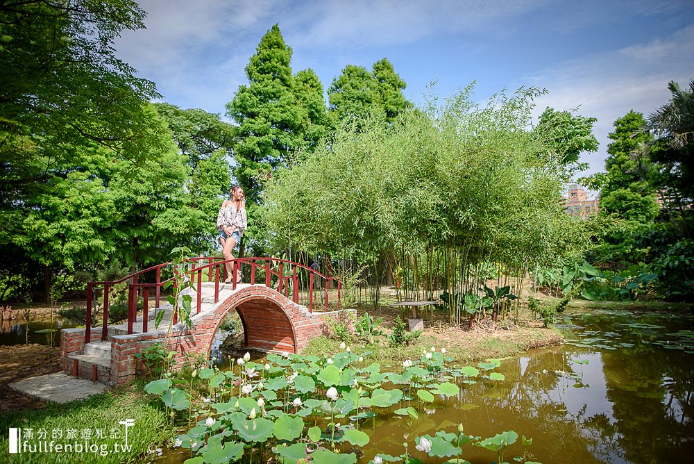 桃園觀音景點|蓮荷園休閒農場|賞蓮花.坐大王蓮.盪鞦韆.搭船遊湖.吃蓮子冰|季節限定~挑戰輕功水上飄!