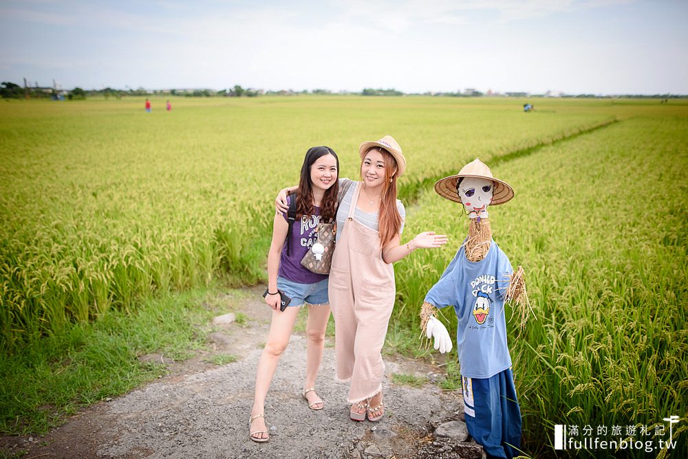 【宜蘭三奇美徑】冬山伯朗大道,宜蘭冬山稻間美徑,大自然絕美的彩稻布畫!