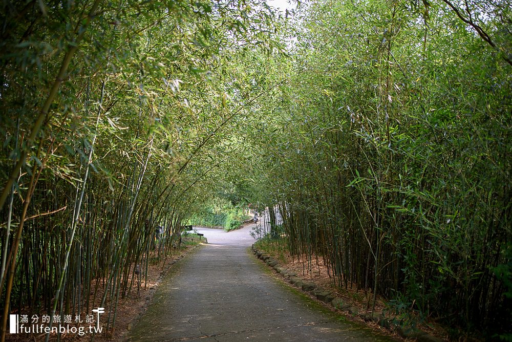 【苗栗天空之城景觀餐廳】離天空最近的樹屋城堡,苗栗情侶約會親子景點,苗栗最美森林古堡!