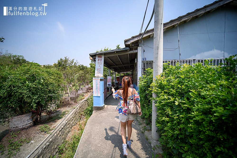 彰化田尾景點》農村仙人掌園|多肉植物大進擊~仙人掌祕境~感受被仙人掌包圍的刺激感!