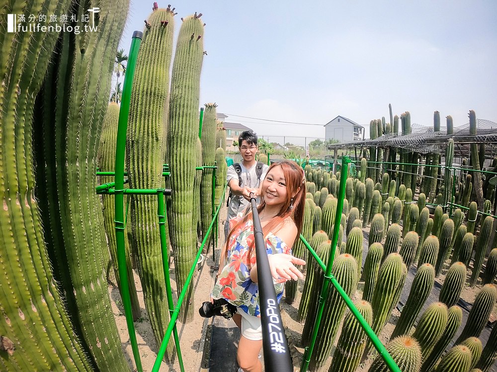 彰化田尾景點》農村仙人掌園|多肉植物大進擊~仙人掌祕境~感受被仙人掌包圍的刺激感!