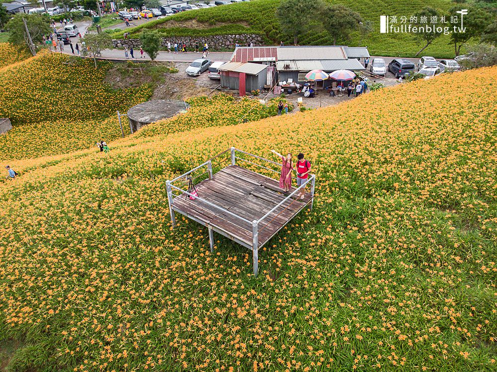 【2023花蓮六十石山金針花海最新花況】六十石山交通管制時間.賞花行程攻略.台灣小瑞士觀景台,順遊景點推薦!