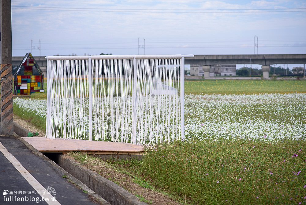 桃園仙草花節|紫衣仙草花田.金色花毯.地景藝術|動人紫色布畫~秒置身在法國普羅旺斯!