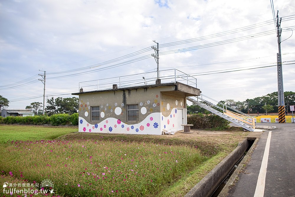 桃園仙草花節|紫衣仙草花田.金色花毯.地景藝術|動人紫色布畫~秒置身在法國普羅旺斯!