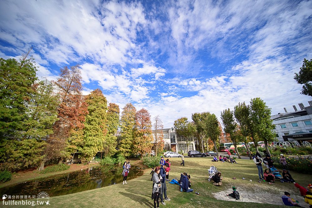 桃園楊梅【雅聞魅力博覽館】免門票玫瑰花園賞花攻略.落羽松秘境約會趣!