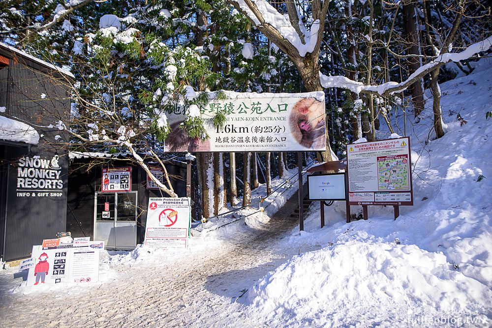 日本長野【地獄谷野猿公苑】看雪猴泡湯玩樂攻略,從成田機場抵達雪猴溫泉公園交通方式&專車接送!