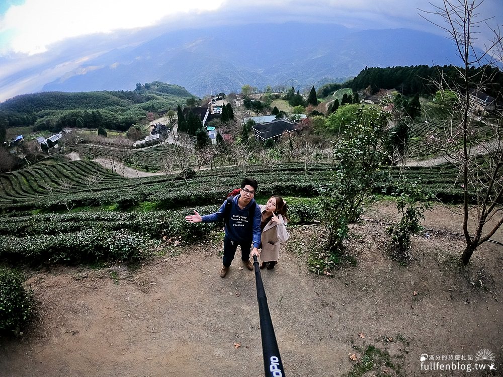 新竹五峰景點|山上人家|賞櫻秘境.雲海勝境.景觀餐廳.夢幻茶田.下午茶|海拔1200公尺的忘憂森林!