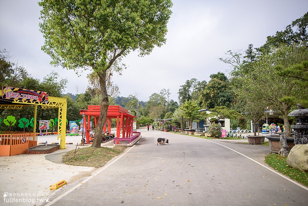 桃園大溪景點|花開了休閒農場|免門票親子景點|下午茶.小火車.旋轉木馬|走進童話水上城堡玩拍趣!