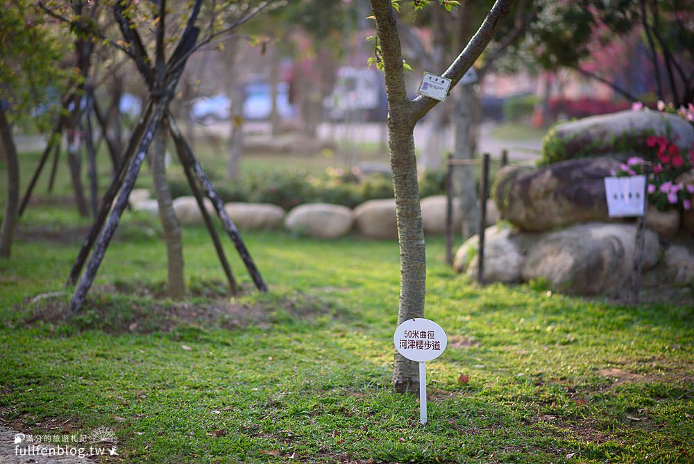 【2024台中中科崴立櫻花公園】免門票賞櫻秘境,八重櫻.山櫻花.綠萼櫻~漫遊百櫻齊放的賞櫻步道，順遊景點攻略！