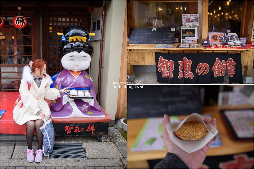 京都近郊景點|天橋立一日遊(交通方式)飛龍觀.傘松公園.智恩寺.天橋立神社|必搭登山吊椅&觀光船~最美日本三景!