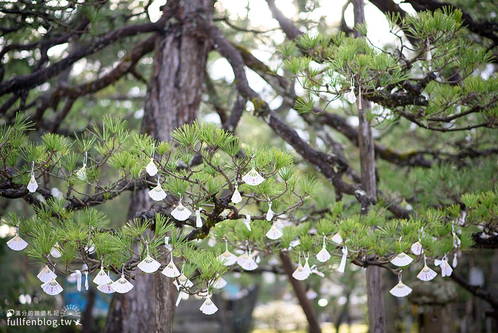 京都近郊景點|天橋立一日遊(交通方式)飛龍觀.傘松公園.智恩寺.天橋立神社|必搭登山吊椅&觀光船~最美日本三景!