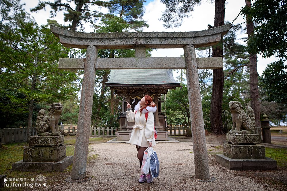 京都近郊景點|天橋立一日遊(交通方式)飛龍觀.傘松公園.智恩寺.天橋立神社|必搭登山吊椅&觀光船~最美日本三景!