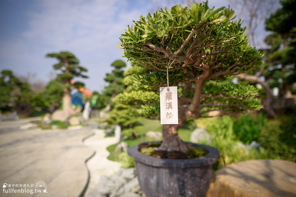 彰化田尾景點|台灣銘園庭園美術館|優雅水上茶房.日式庭院.珍奇老樹|免出國~秒飛日本渡假趣!