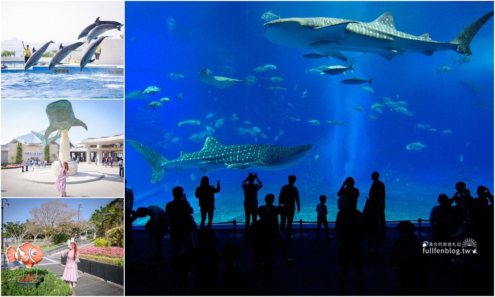 沖繩必玩景點|美麗海水族館|世界最大水族館~看見最美鯨鯊&超精彩的海豚表演秀!!