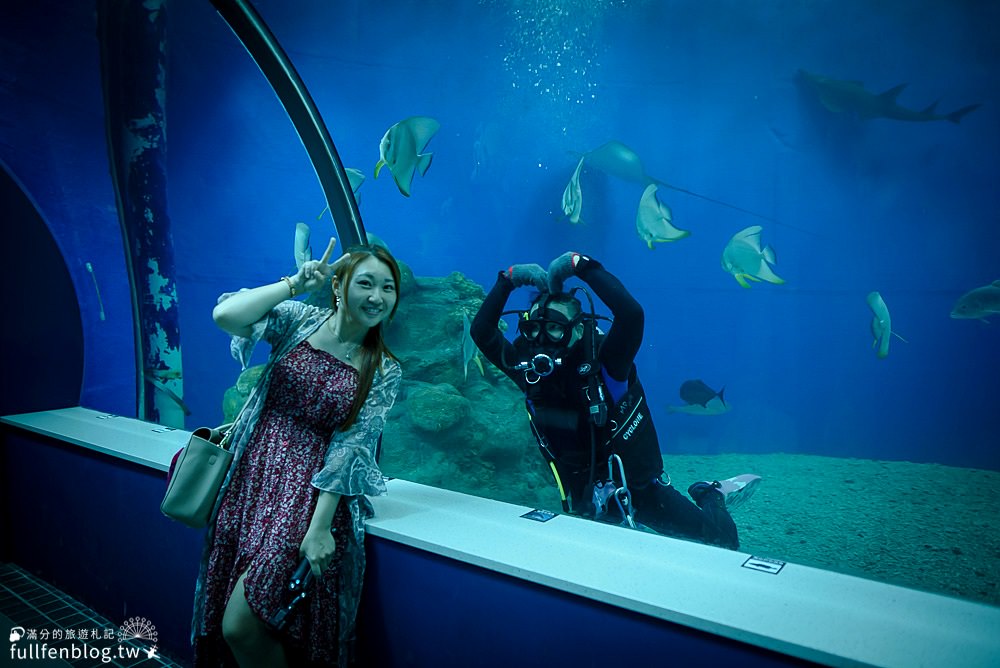 澎湖景點推薦|澎湖水族館.交通&門票資訊|親子室內景點.探索澎湖生態~走進深海裡與海底生物玩拍趣！