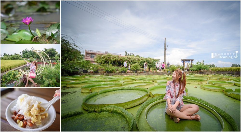 桃園戶外景點懶人包|超過30個桃園森林系景點|天空步道.森林吊橋.蝙蝠洞.高山熱氣球|喘口氣~聽見大自然的聲音!