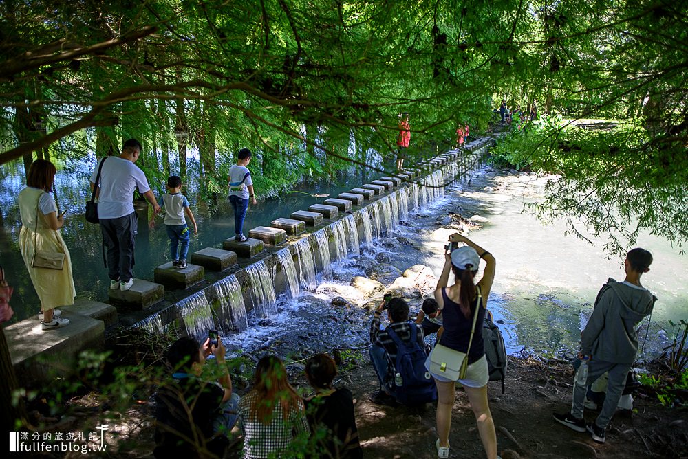 花蓮壽豐景點|雲山水夢幻湖(免門票).落羽松秘境~漫步山水間最美的絹絲小瀑布!