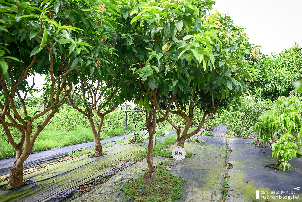 台中親子景點【赤腳丫生態農莊】彩虹棒棒糖大草坪.溜滑梯玩沙坑看小動物,大小朋友的玩樂殿堂!