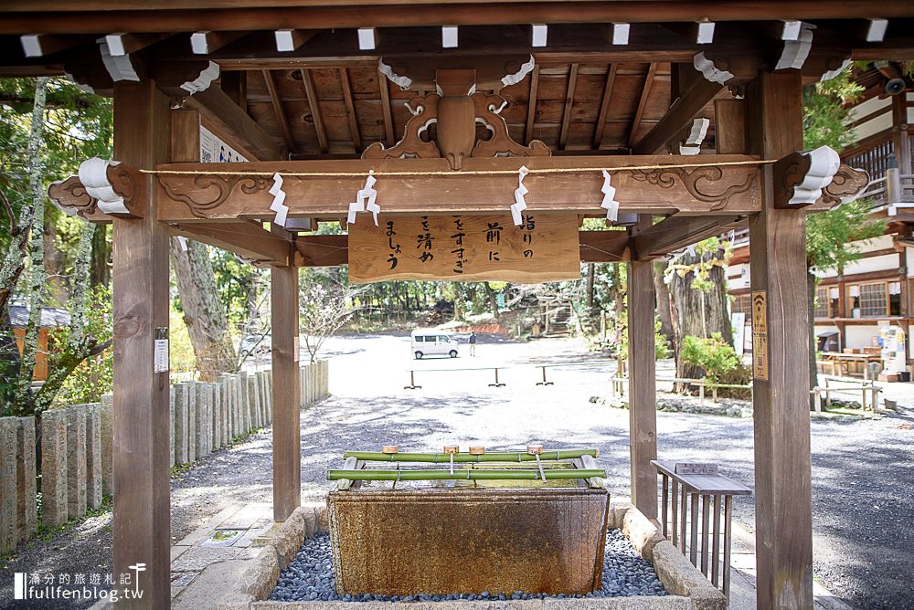 大阪近郊景點|和歌山貴志川線一日遊|貴志車站.伊太祁曾神社|最萌貓咪車站~跟著貓站長欣賞鐵道風光!