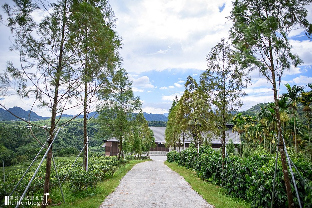 南投魚池景點|鹿篙咖啡莊園|下午茶.輕食.景觀餐廳.情侶約會|群山環繞~茶田上的咖啡莊園!