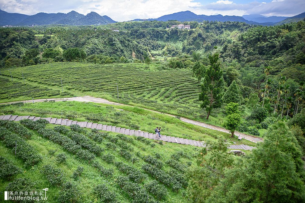 南投魚池景點|鹿篙咖啡莊園|下午茶.輕食.景觀餐廳.情侶約會|群山環繞~茶田上的咖啡莊園!