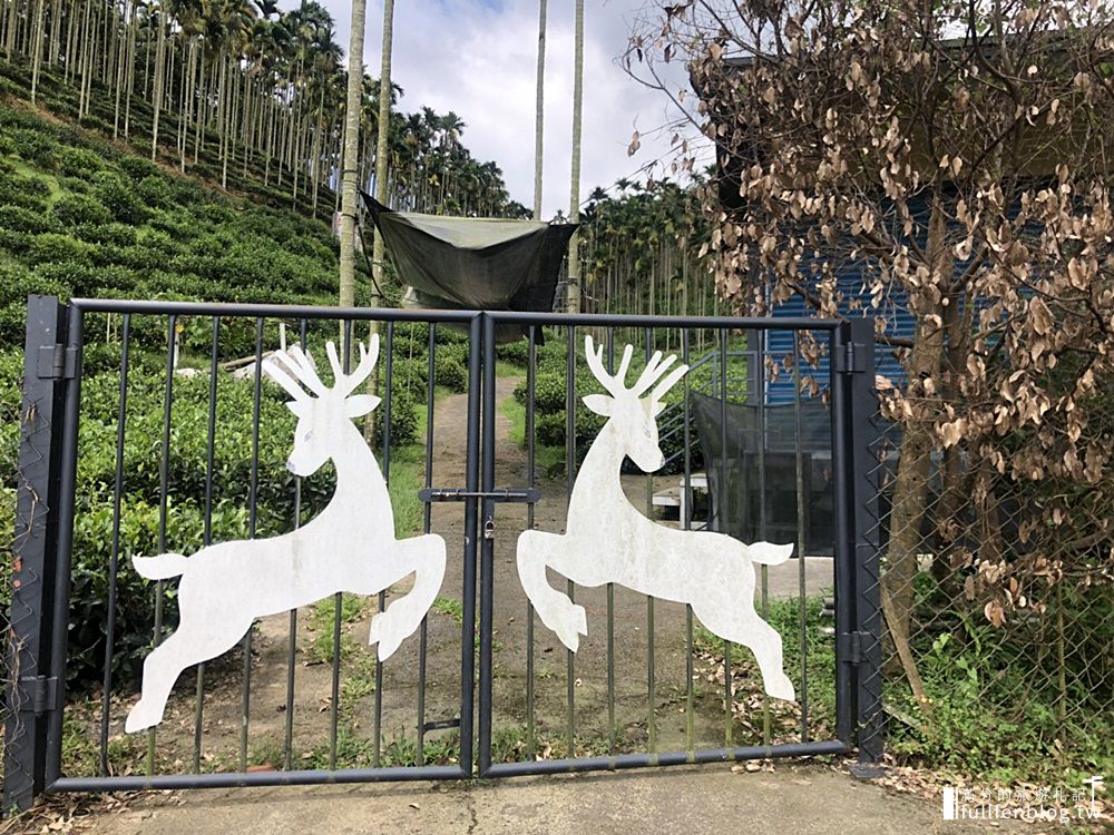 南投魚池景點|鹿篙咖啡莊園|下午茶.輕食.景觀餐廳.情侶約會|群山環繞~茶田上的咖啡莊園!